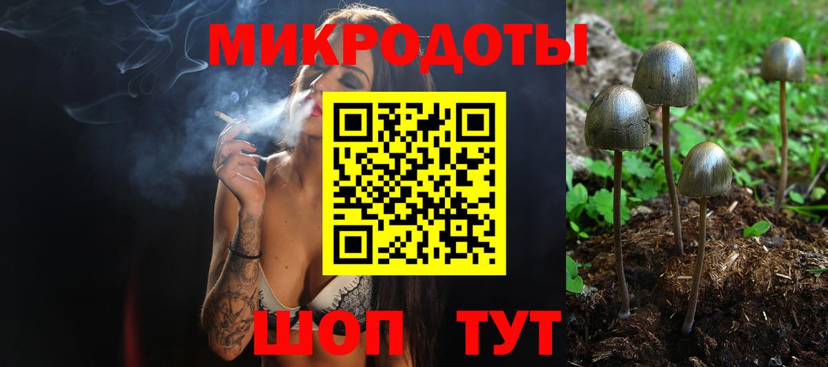 Галлюциногенные грибы Cubensis  Вход с VPN  Балашов 
